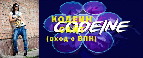 гидра Арсеньев
