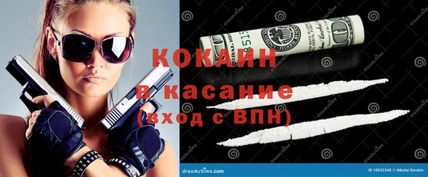 гидра Арсеньев