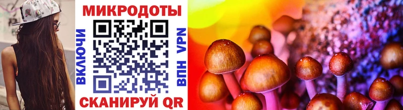 наркошоп  Валдай  блэк спрут ссылки  Галлюциногенные грибы MAGIC MUSHROOMS 